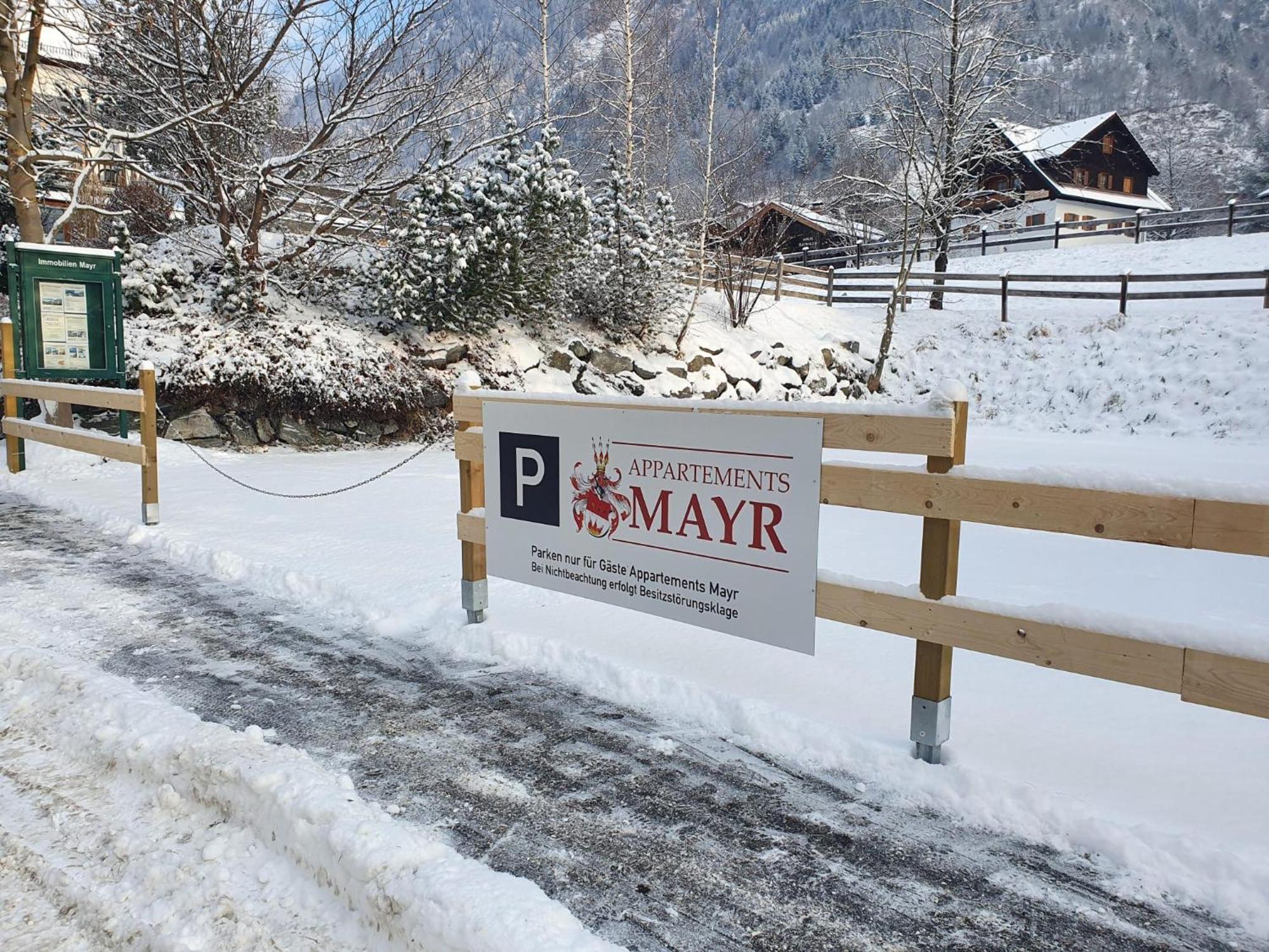 Appartements Mayr Inklusive Ganzjaehrig Gratis Zugang Zur Alpentherme Und Im Sommer Kostenlose Bergbahnnutzung Bad Hofgastein Esterno foto